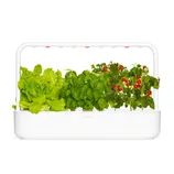 A smart indoor garden system featuring lettuce, basil, and cherry tomatoes with an integrated LED grow light for at-home cultivation.