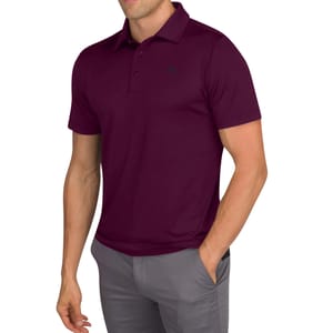 The Three Sixty Six Golf Polo is a short-sleeve, maroon-colored polo shirt with a subtle logo on the chest, paired with gray pants. It features a classic collar and three-button placket, providing a clean, modern look for casual or sportswear.