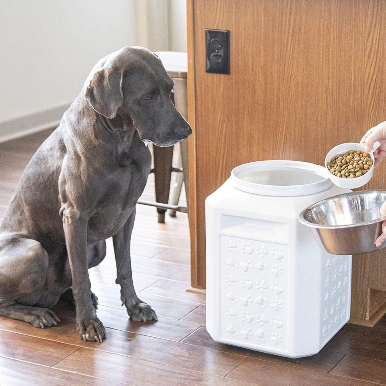 A large dog sits beside a white airtight pet food storage container. A person is scooping dog food into a metal bowl, with a note indicating that the scoop is not included.