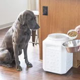 A large dog sits beside a white airtight pet food storage container. A person is scooping dog food into a metal bowl, with a note indicating that the scoop is not included.