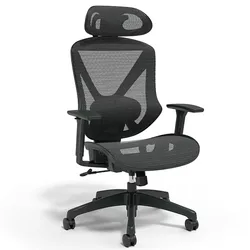 Ergonomic office chair with adjustable headrest, mesh back, and seat for better airflow. Features include adjustable armrests and a wheeled base.
