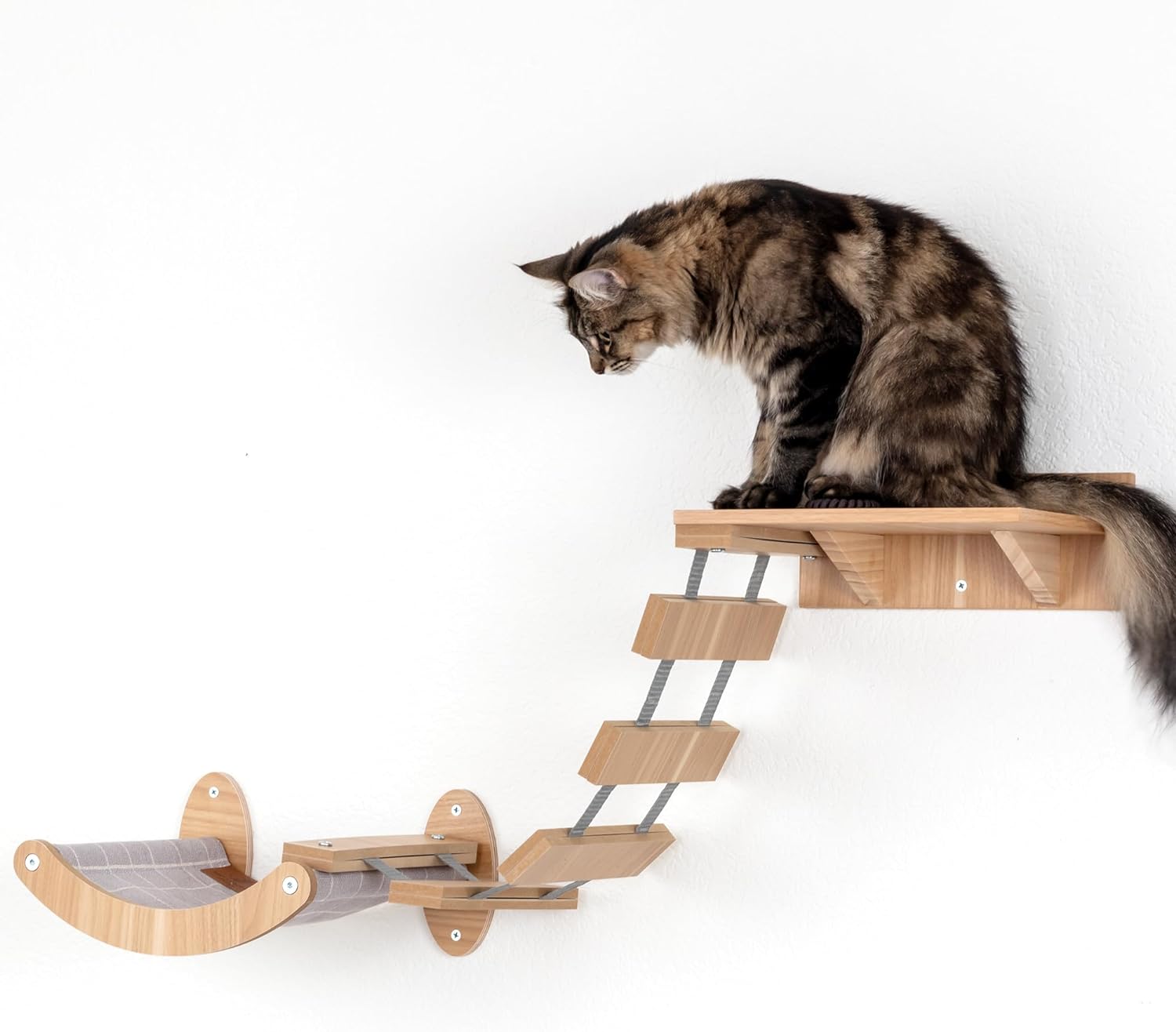 A cat sits on a wall-mounted wooden perch with a step ladder leading up to it.
