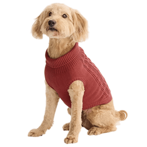 A small dog wears a red cable-knit sweater with a turtleneck collar, sitting on a plain white background.