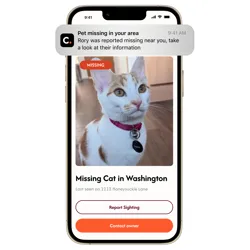 A mobile app notification shows a missing cat alert for Rory, last seen on 1212 Honeysuckle Lane, with options to report a sighting or contact the owner.