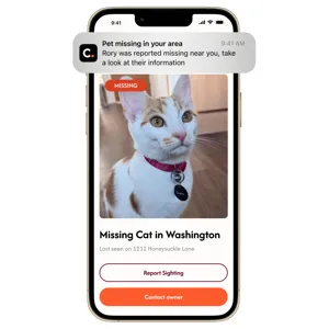 A mobile app notification shows a missing cat alert for Rory, last seen on 1212 Honeysuckle Lane, with options to report a sighting or contact the owner.