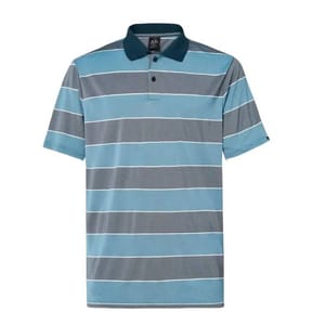 Striped blue and gray polo shirt.