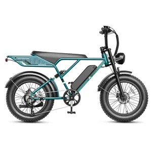 Electric bicycle with a 750W motor, fat tires, front suspension, rear rack, and integrated battery.