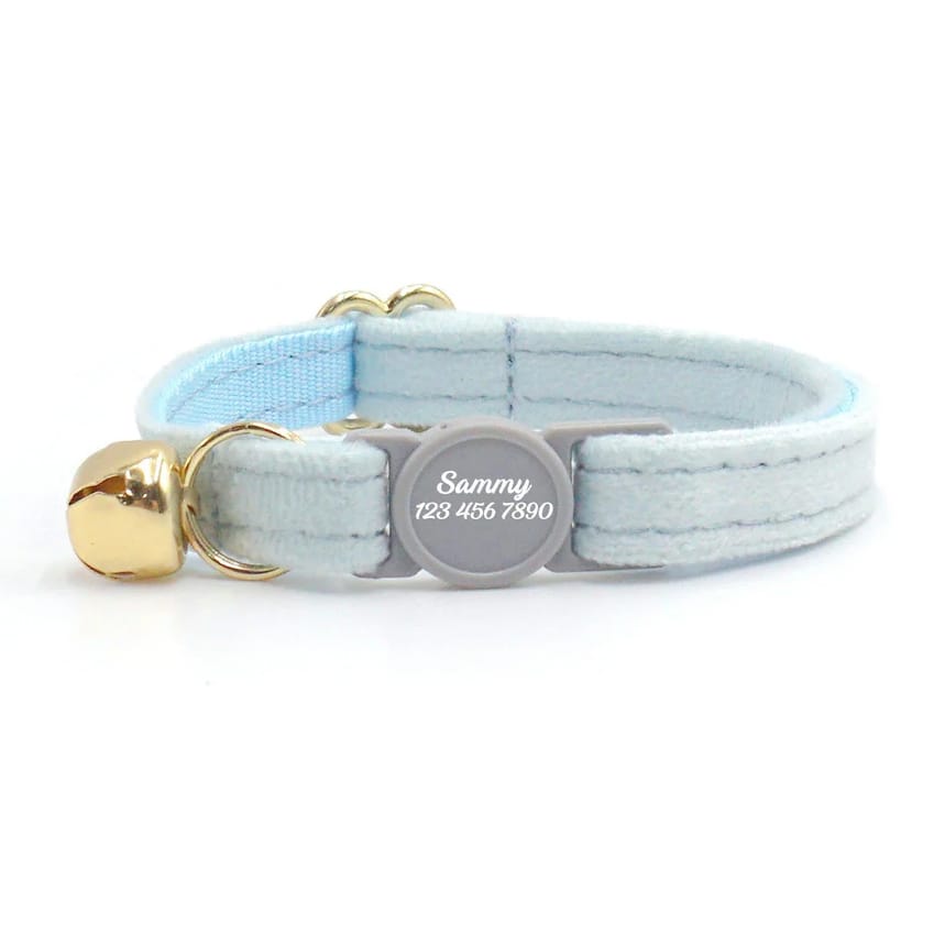 Light blue cat collar with a gold bell and a custom nameplate displaying \“Sammy\“ and a phone number.