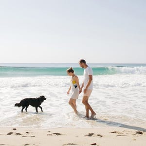 A couple and a dog walk along a sandy beach with waves in the background.
