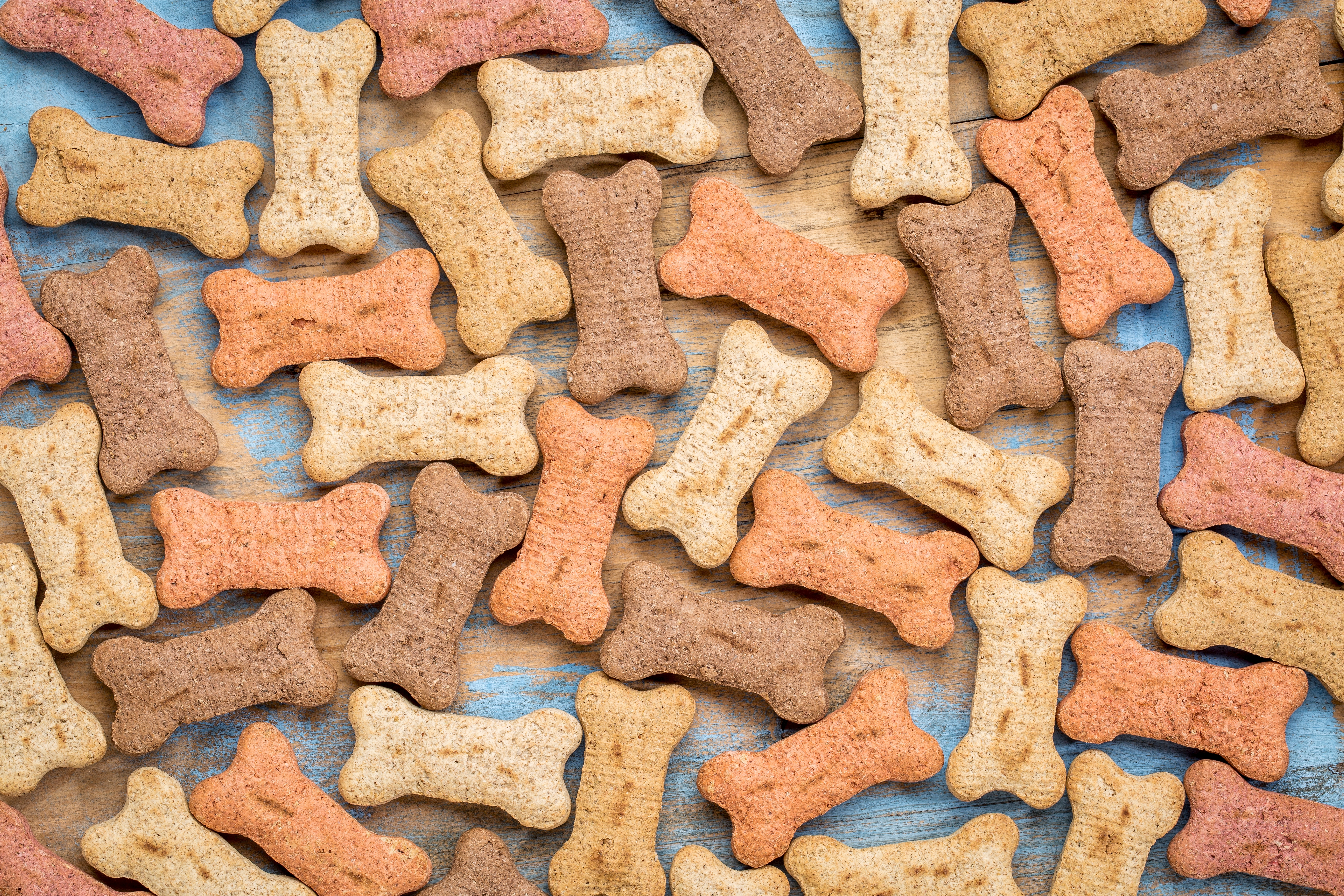 Assorted dog biscuits shaped like bones in various colors spread on a wooden surface.