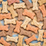 Assorted dog biscuits shaped like bones in various colors spread on a wooden surface.