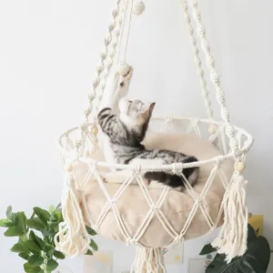 A kitten plays in a macramé hanging cat bed with a cushion, suspended from the ceiling. A green plant is visible nearby.