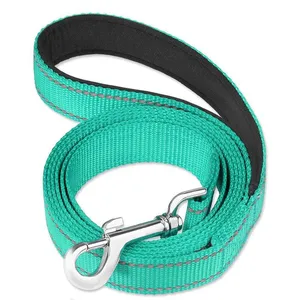 A teal-colored dog leash with a silver metal clasp and a padded handle for comfort.