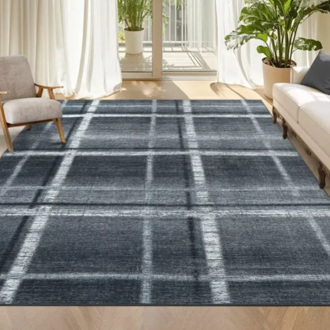 A living room features a checked dark gray rug, an armchair with wooden legs, a white sofa with a dark cushion, and a large potted plant by a window with white curtains.