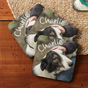 Square photo coasters featuring a dog named Charlie, with a high-quality image of the dog being petted. Coasters have a rustic design on a wooden surface with a textured background, offering a personal touch.