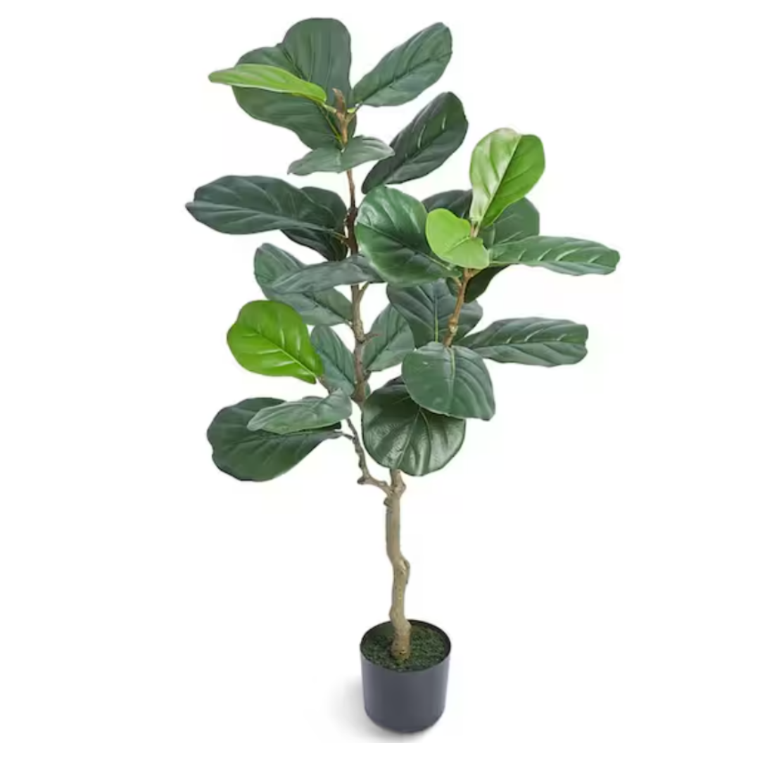 A faux fiddle leaf fig tree in a plain black pot.