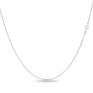 A delicate silver chain necklace with a small clasp and fine link design.