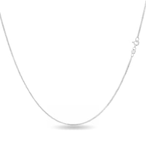 A delicate silver chain necklace with a small clasp and fine link design.