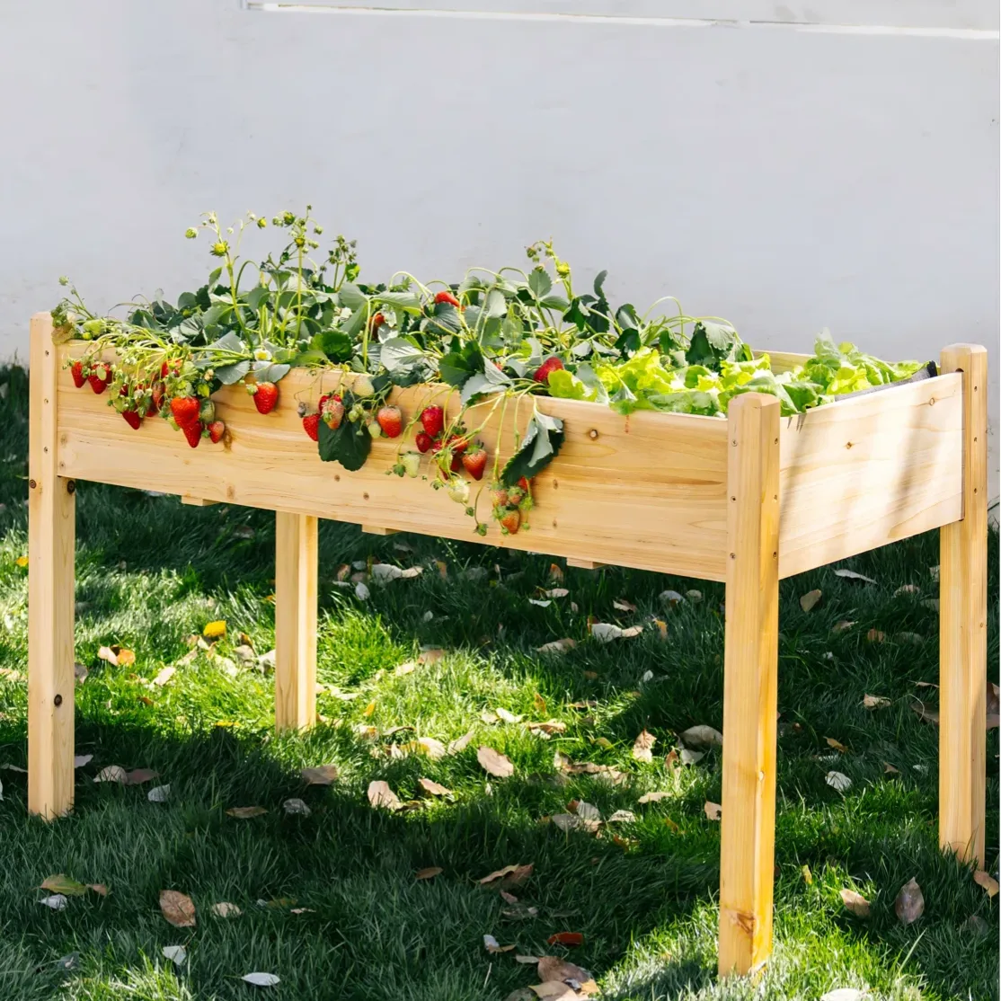A wooden elevated garden bed containing strawberry plants sits on a grassy lawn, with ripe strawberries visible among the leaves.