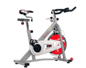 Sunny indoor exercise bike, featuring adjustable handlebars, seat, and resistance, with a sturdy frame and a red flywheel.