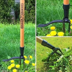 Grandpa's Weeder is a long-handled weeding tool with a claw at the end for removing weeds from the ground without bending over.