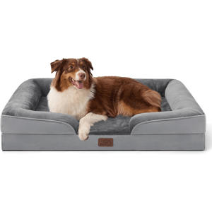 A brown and white dog is lying on a rectangular, grey orthopedic memory foam dog bed with bolstered sides.
