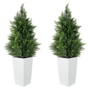 Two tall potted evergreen plants in white square planters.