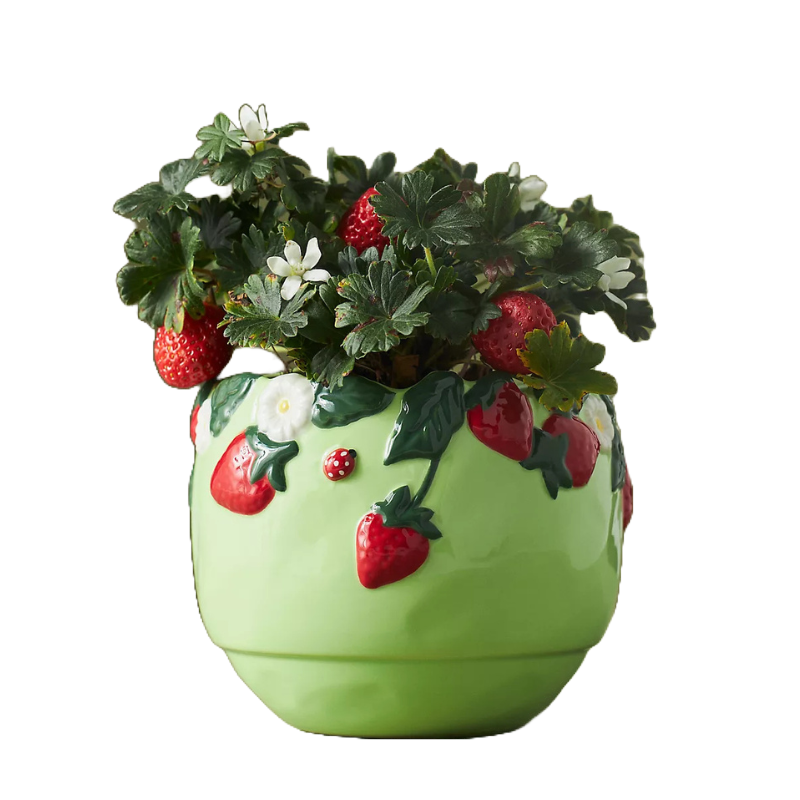 A decorative green pot adorned with raised strawberry designs, containing a strawberry plant with green leaves and white flowers.