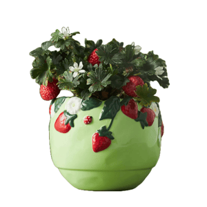 A decorative green pot adorned with raised strawberry designs, containing a strawberry plant with green leaves and white flowers.