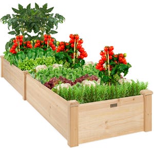 A wooden raised garden bed filled with a variety of plants, including tall tomato plants bearing red fruit, leafy greens, and herbs.