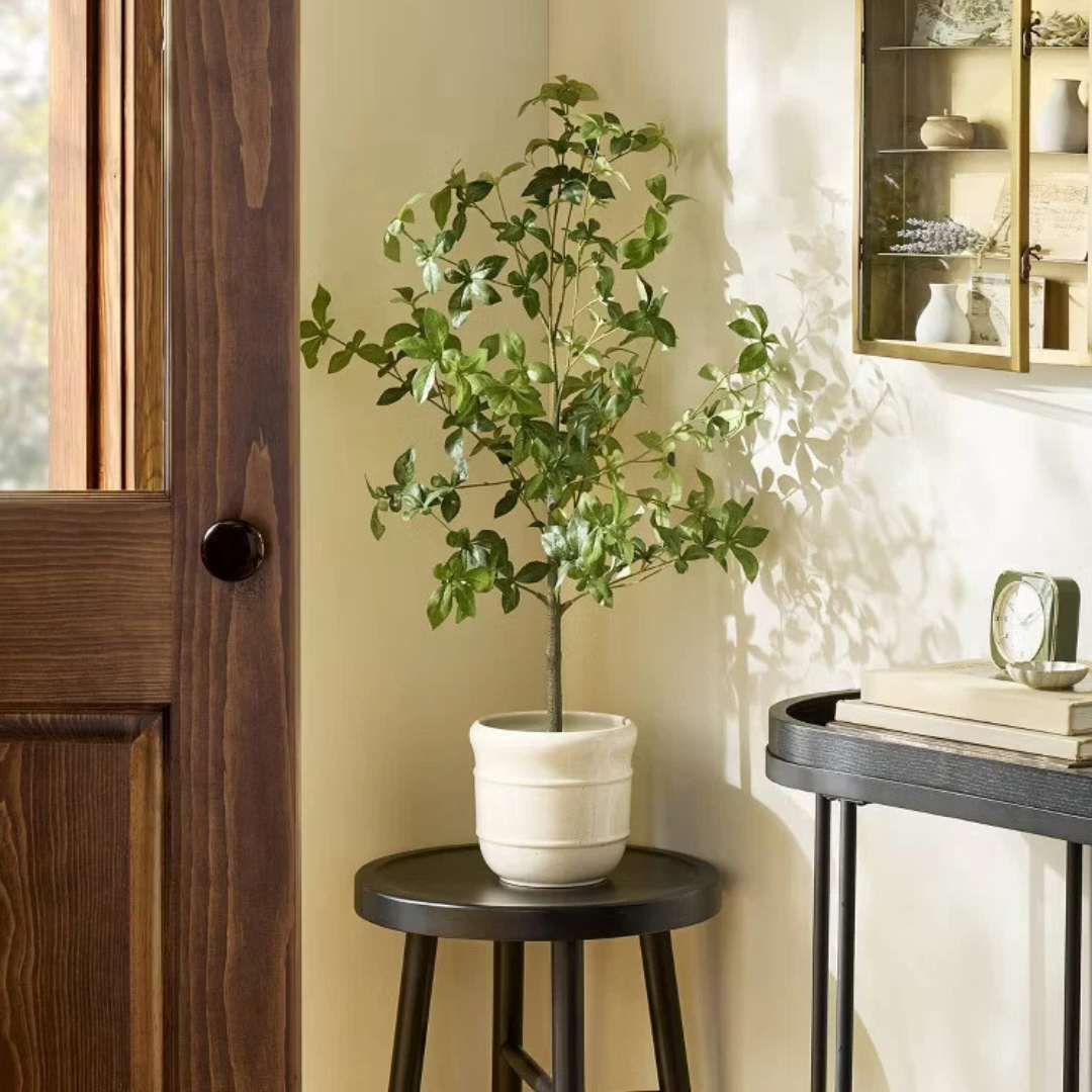 A potted plant with green leaves sits on a black stool next to a wooden door. Nearby, a console table holds books and a small clock.