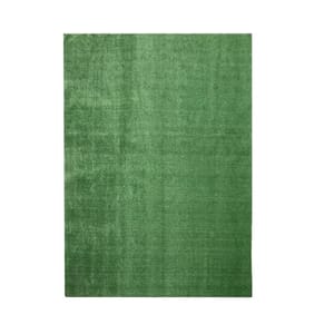 Green area rug with a subtle texture.