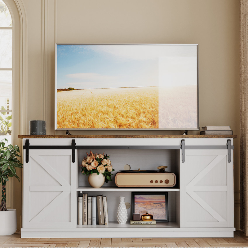 A TV sits on a wooden entertainment console with sliding barn doors. The console holds books, a vase with flowers, a decorative vase, a vintage radio, and framed pictures. A small speaker is placed on top of the console next to the TV.