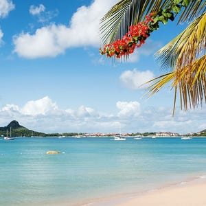Tropical beach scene with clear blue water, boats, palm leaves, and red flowers.