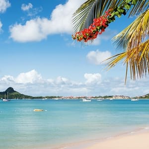 Tropical beach scene with clear blue water, boats, palm leaves, and red flowers.