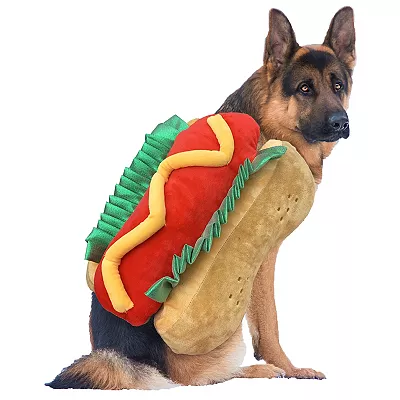 A German Shepherd is wearing a costume designed to resemble a hot dog with mustard, complete with attached bun and condiments.