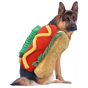 A German Shepherd is wearing a costume designed to resemble a hot dog with mustard, complete with attached bun and condiments.