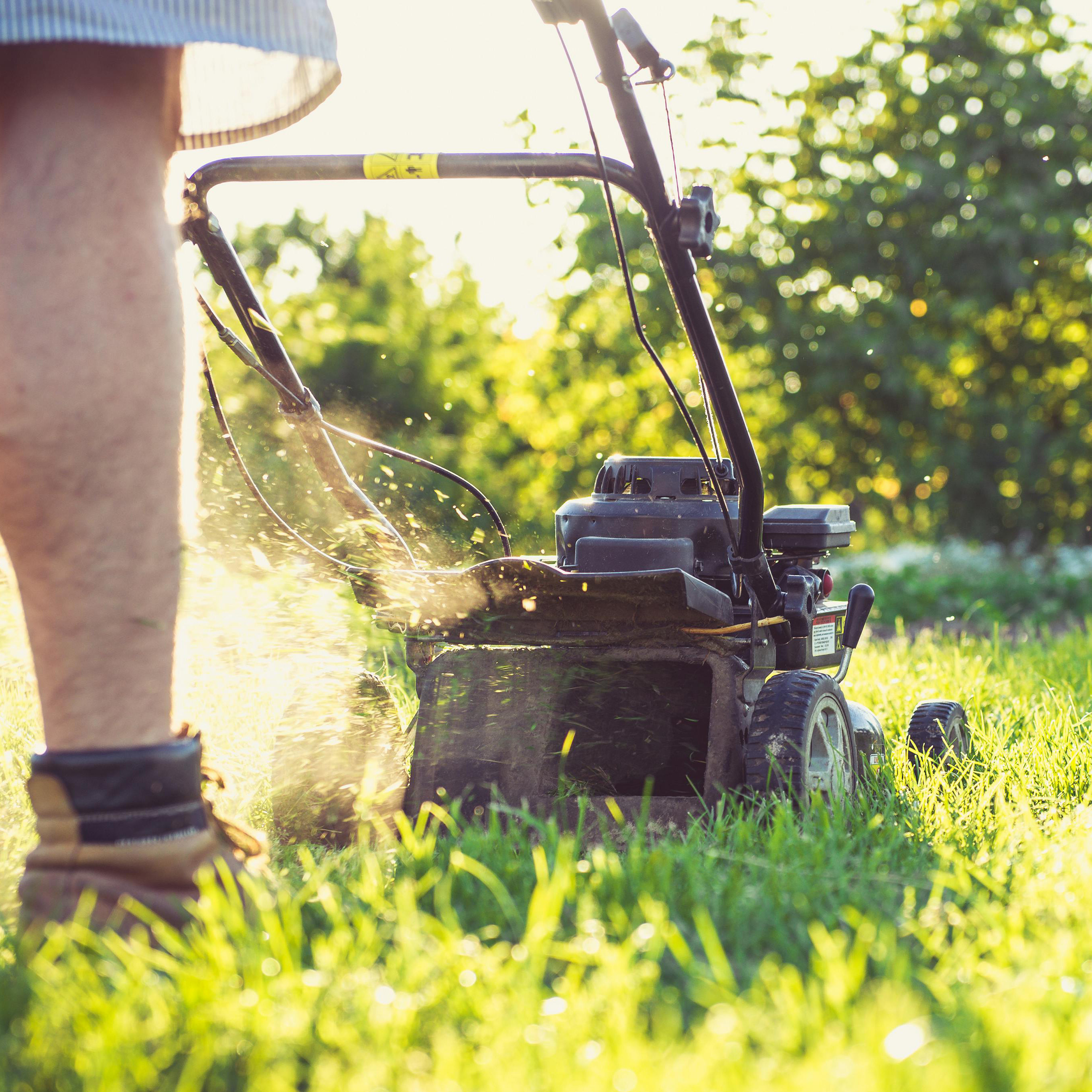 A lawn mower being used on grass with sunlight filtering through trees in the background.