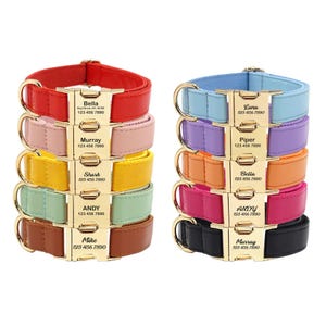 A collection of colorful pet collars with engraved nameplates and phone numbers. Each collar is shown in a different color, including red, pink, yellow, blue, purple, orange, brown, and black.