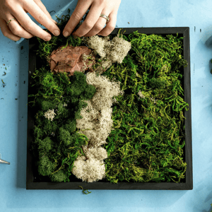 A hands-on project featuring a framed arrangement of various preserved mosses and lichen, laid out on a blue surface.