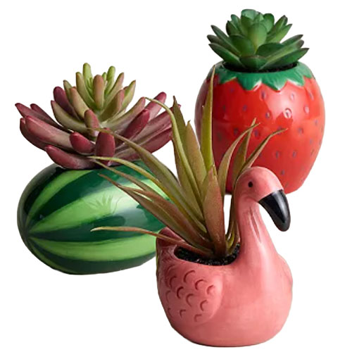 Three colorful planter pots shaped like a watermelon, strawberry, and flamingo, each containing a different succulent plant.