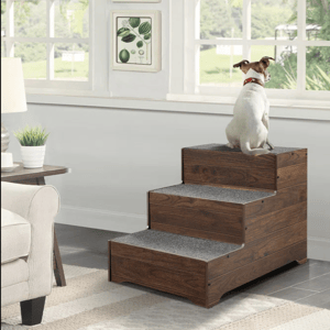 A small wooden pet stair with three carpeted steps helps a dog reach a window.