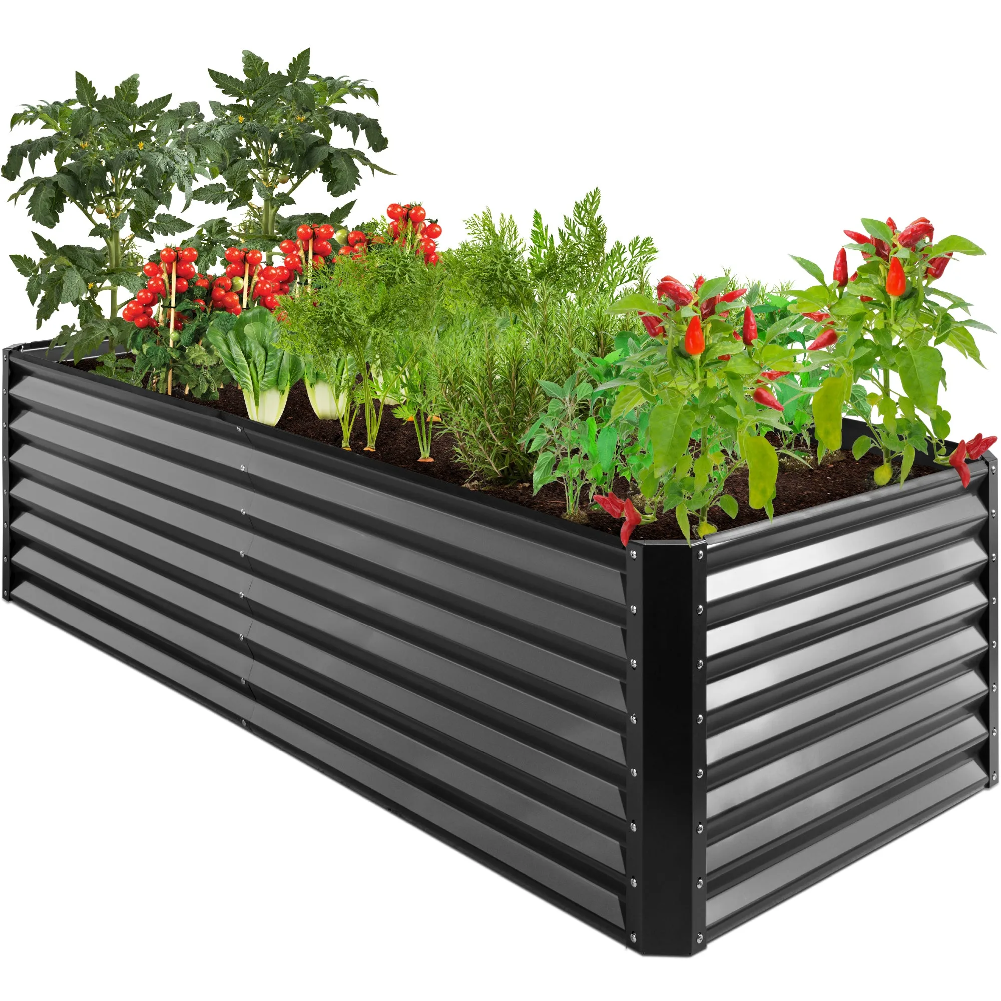 A steel garden bed measuring 8 feet by 4 feet, featuring dark corrugated panels with visible red corners and a variety of plants, including tomatoes and peppers.