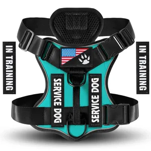 A teal service dog harness with black straps, featuring a U.S. flag and paw print emblem. Includes labels \“SERVICE DOG\“ and interchangeable patches \“IN TRAINING.\“