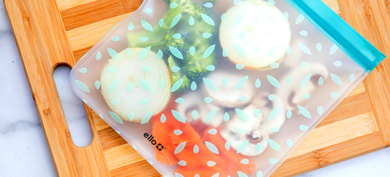 Earth Day Food Savers