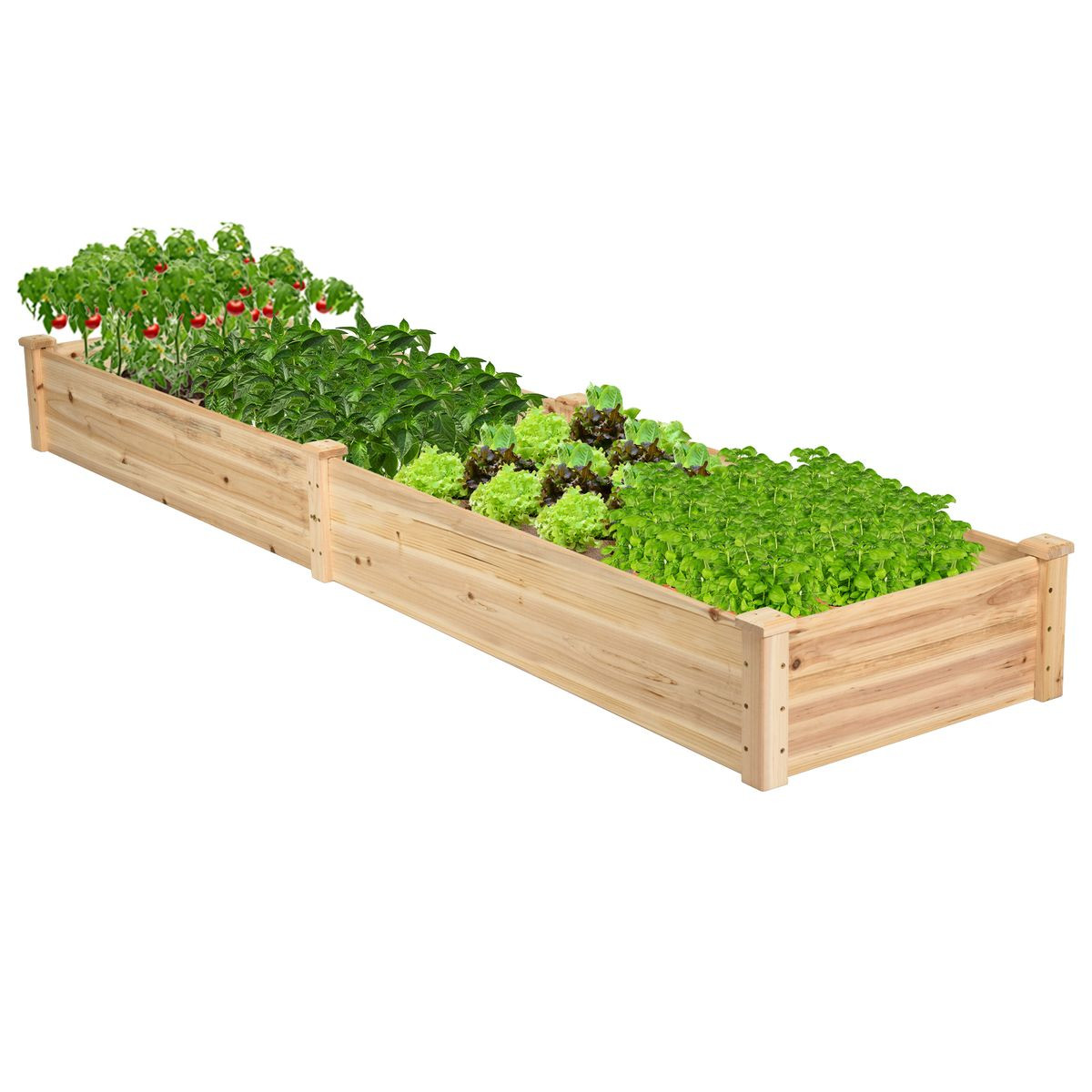 A wooden raised garden bed with compartments, filled with various green plants and some red tomatoes, arranged in a long rectangular shape.
