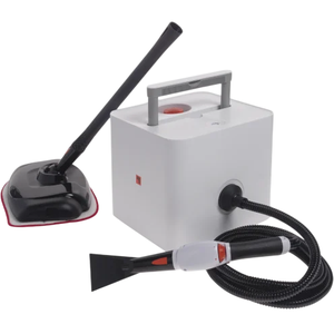 A portable steam cleaner with a white base unit, a flexible hose, and two attachments: a flat nozzle and a long, narrow tube.