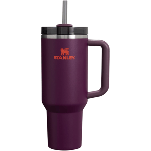 Purple Stanley insulated tumbler with handle and straw, featuring an orange logo.