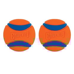 Two round orange and blue Chuckit! brand dog toys with prominent grooves and the Chuckit! logo embossed in the center.