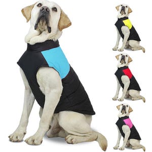 Dogs wearing multi-colored sleeveless jackets in black with color panels in blue, yellow, red, and pink. The jackets are designed for different sizes and feature a snug fit.